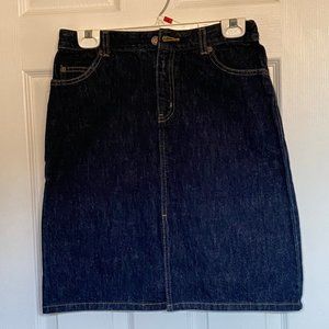 The Limited Denim Skirt